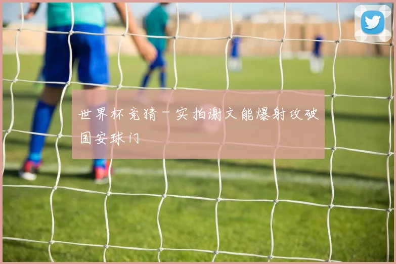 世界杯竞猜 - 实拍谢文能爆射攻破国安球门